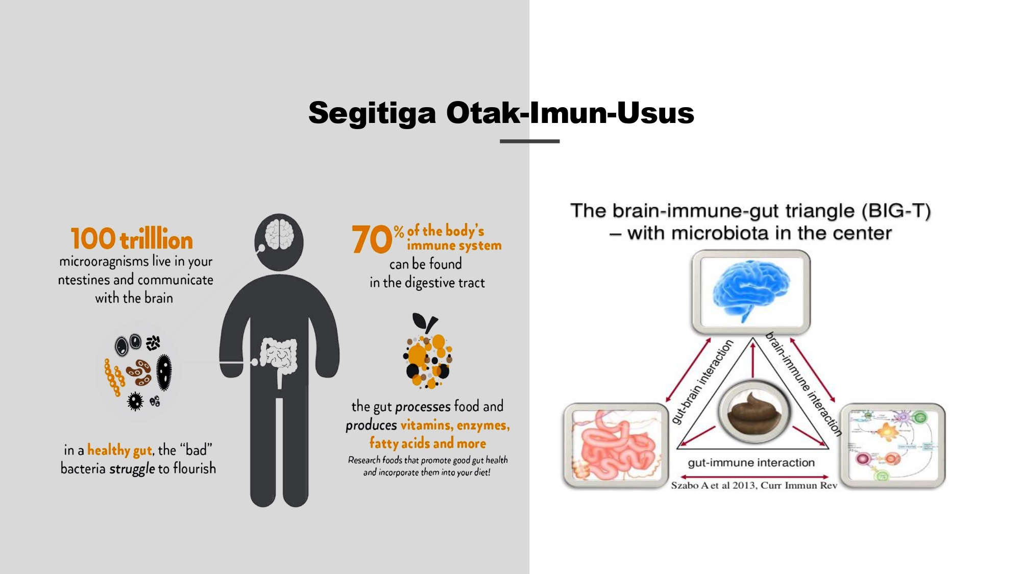 Education content image